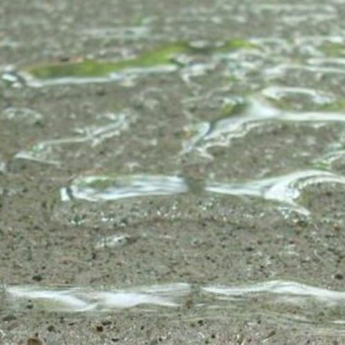 concrete sealer